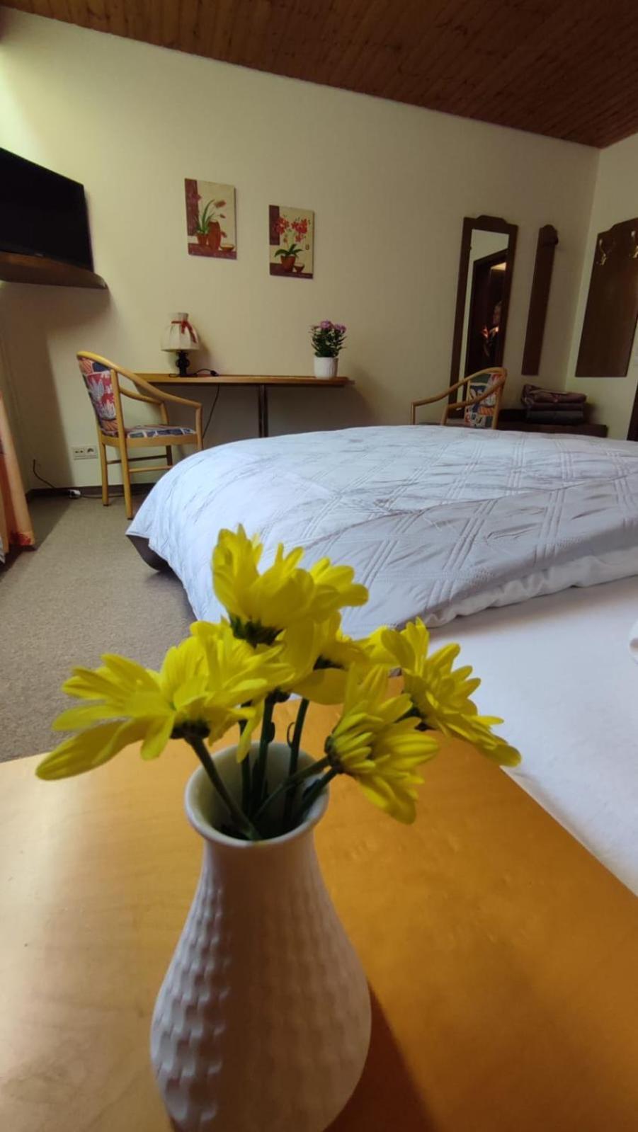 Hotel Restaurant Freihof 3* Oberharmersbach