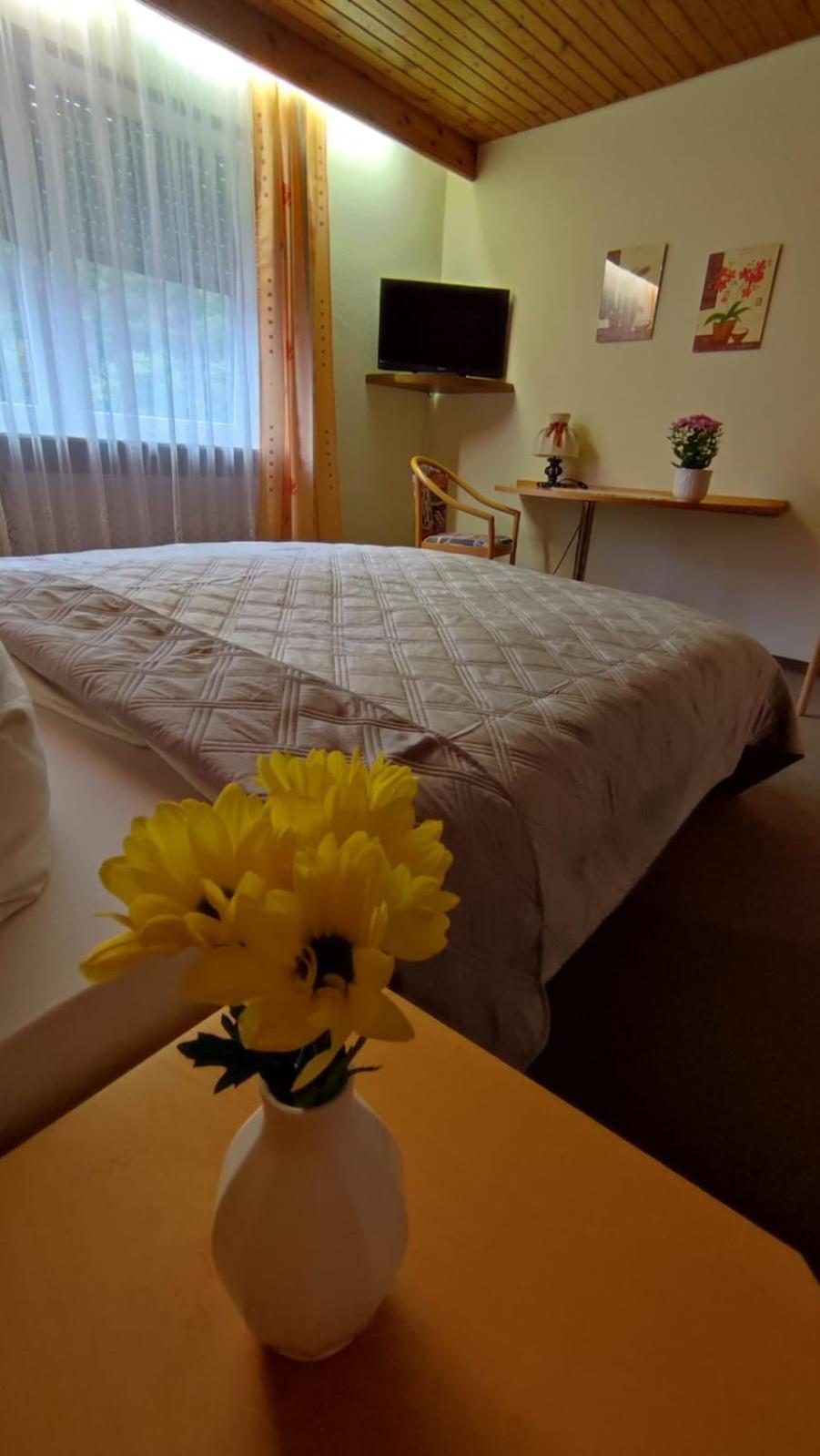Hotel Restaurant Freihof 3* Oberharmersbach