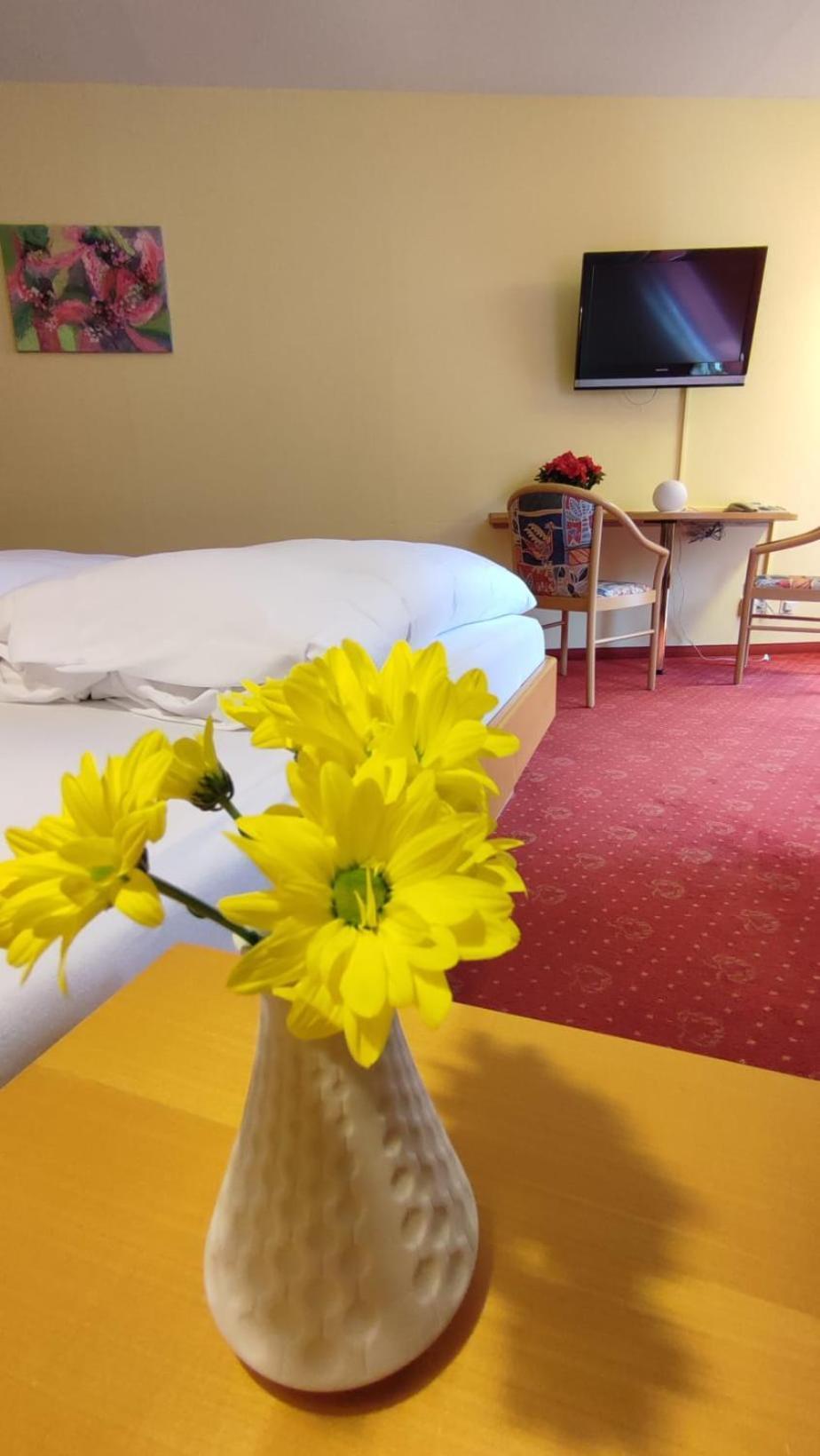 Hotel Restaurant Freihof Hotel Oberharmersbach