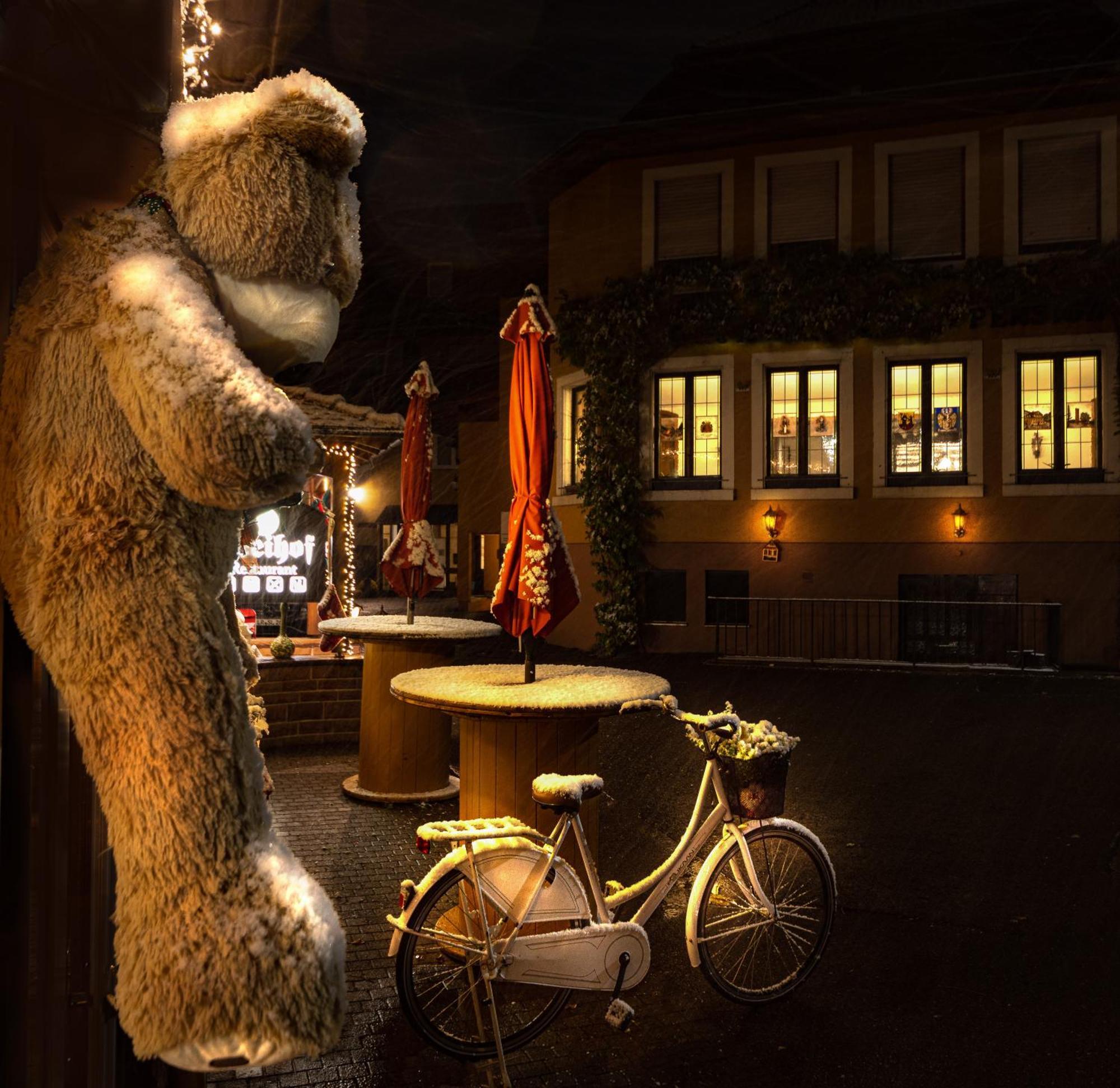 Hotel Restaurant Freihof 3* Oberharmersbach